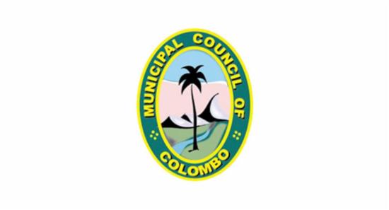 Heavy Rains and Winds Cause Tree Falls